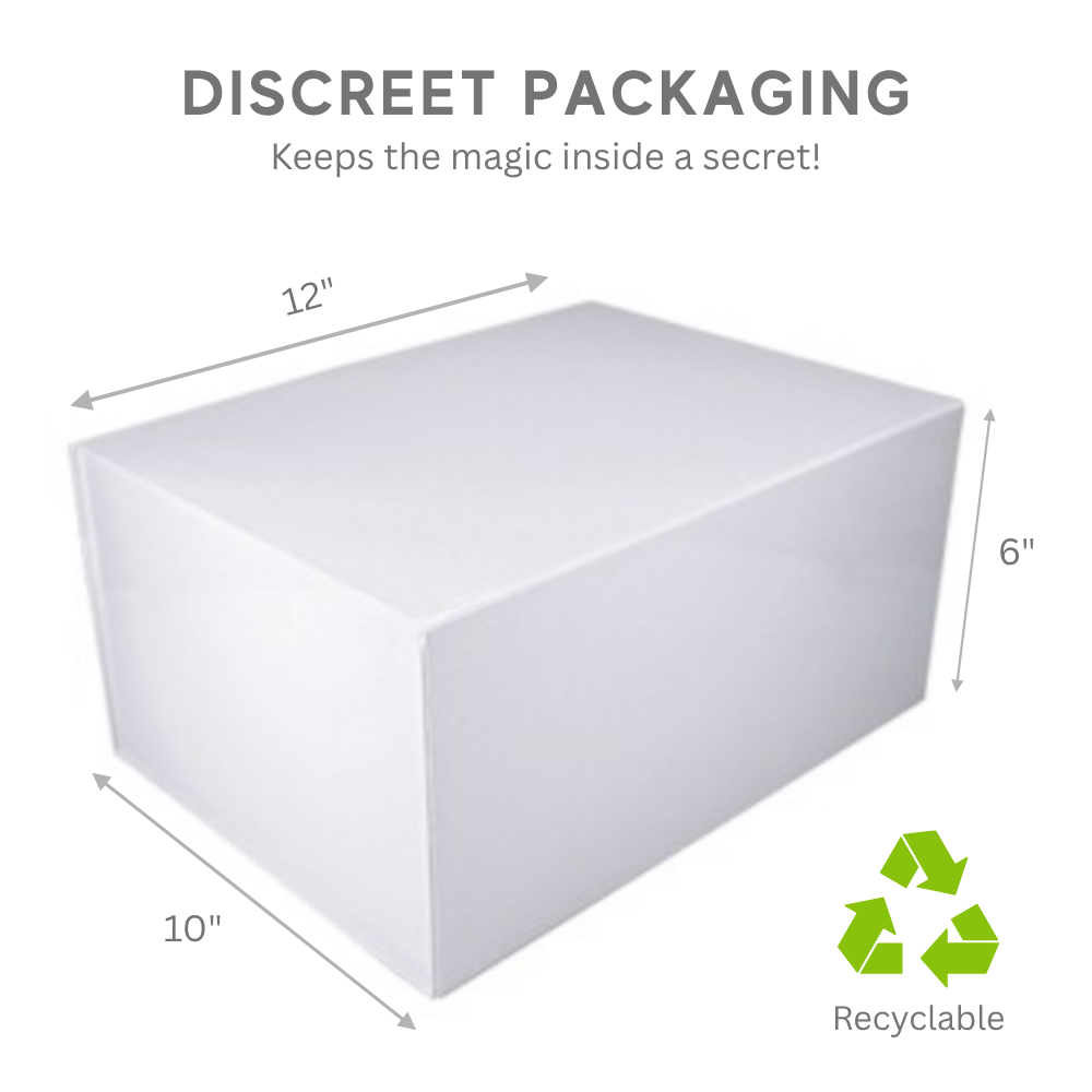 2024 Elf Activity Kit