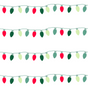 North Pole Lights